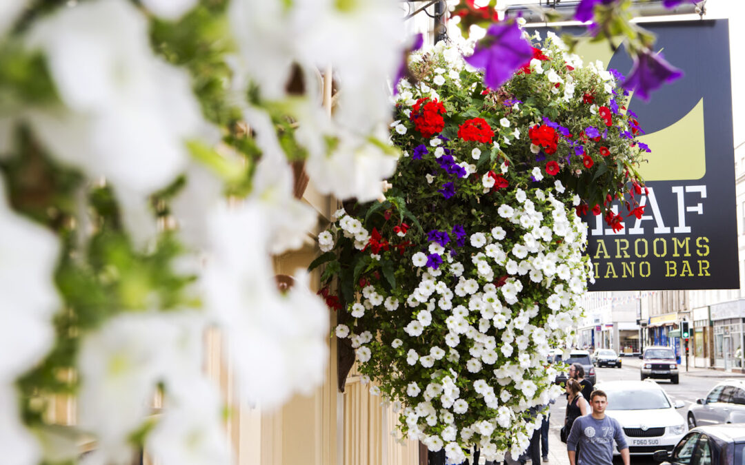 Hanging Baskets