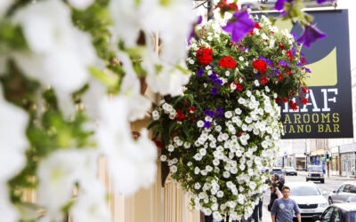 Hanging Baskets