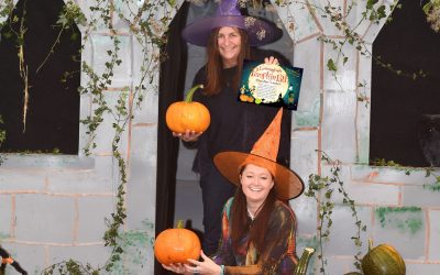 Autumn Update: Christmas Calendar, Green Grants, Lobbying