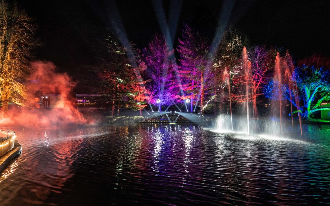 Lights of Leamington 2025 Celebrates Stunning Success!